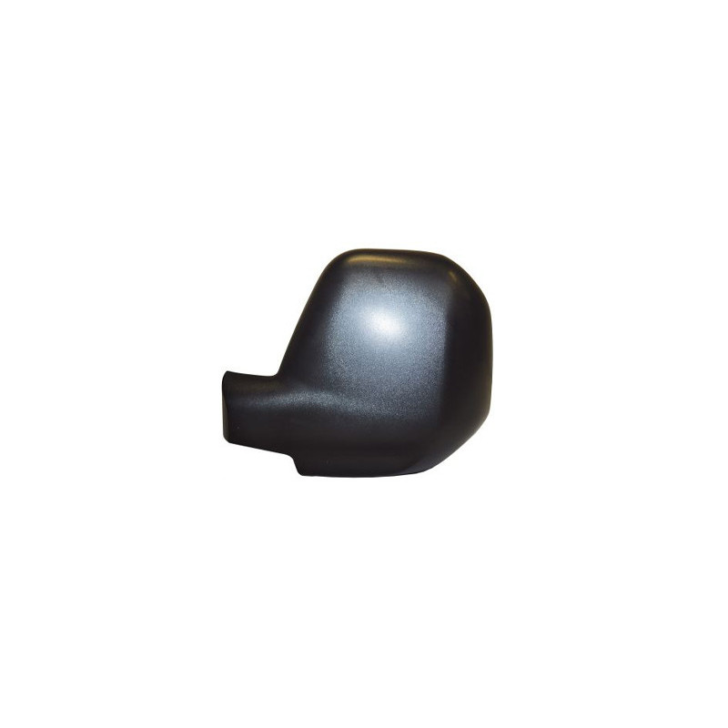 Coque de rétroviseur noir côté chauffeur