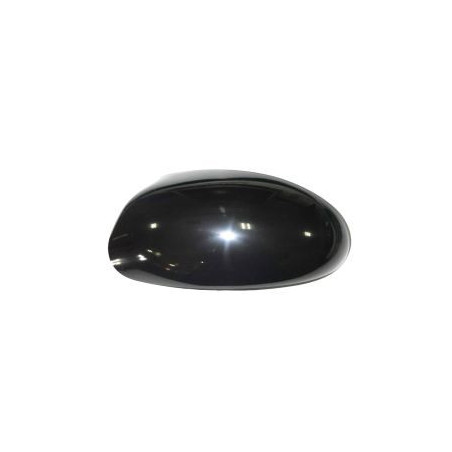 Coque de rétroviseur noir côté chauffeur