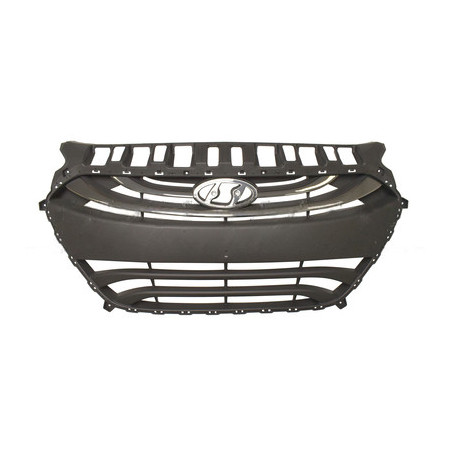 Grille de calandre noir avec moulure satiné