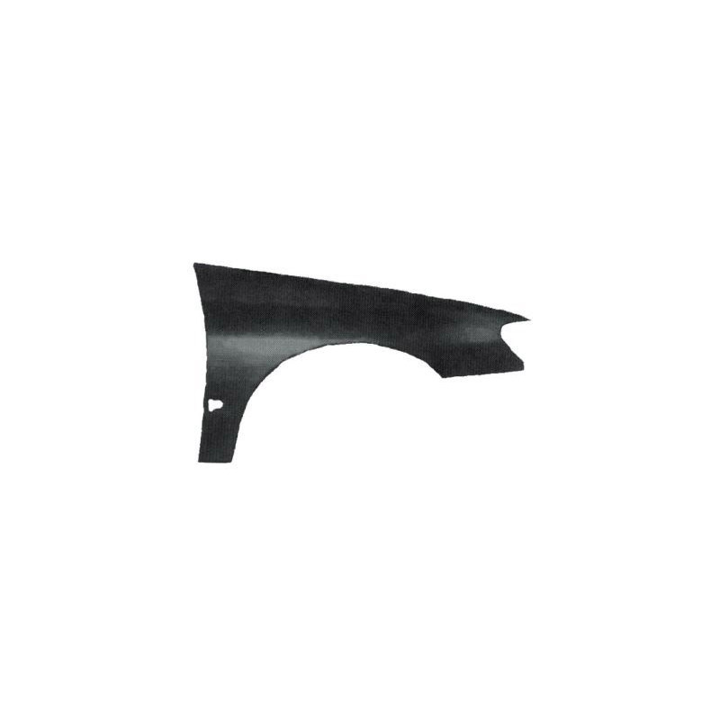 Aile avant côté passager