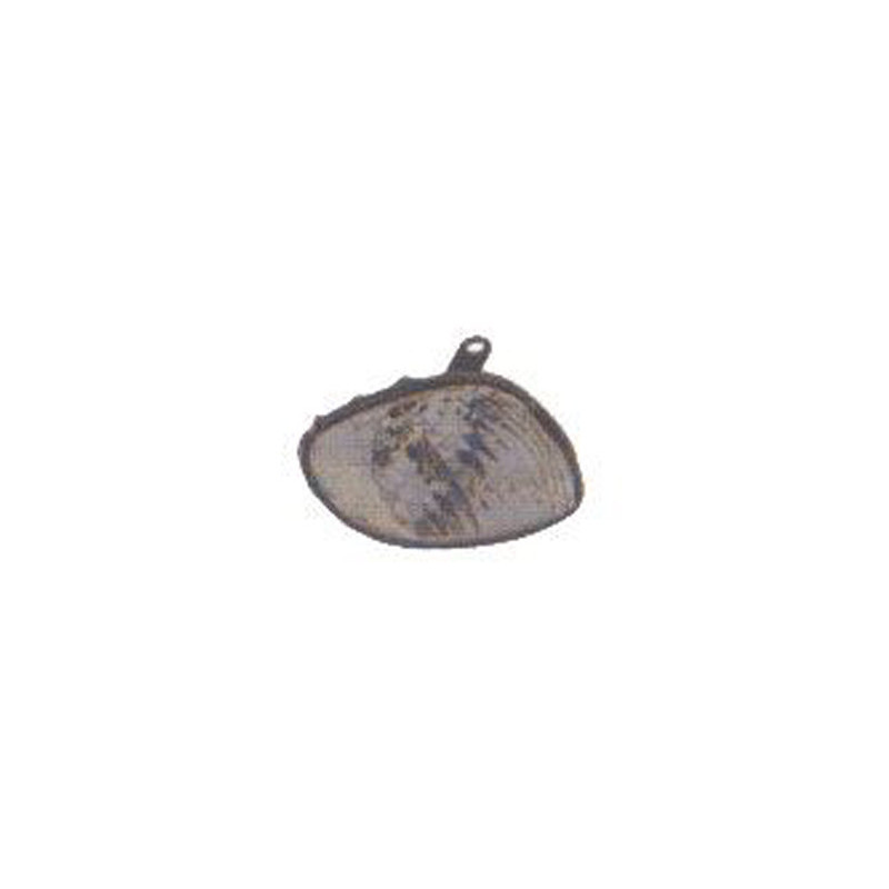 Feu avant côté passager