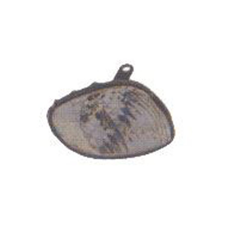 Feu avant côté passager