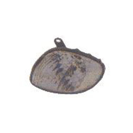 Feu avant côté chauffeur