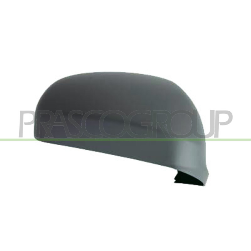 Coque de rétroviseur noir côté chauffeur