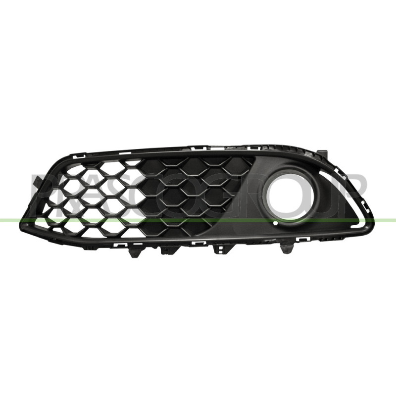 Grille de pare-chocs avant noir côté chauffeur