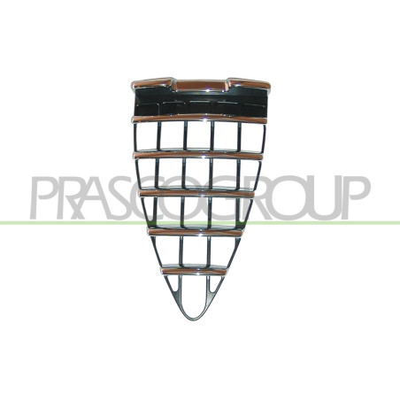 Grille de calandre avec moulure chrome