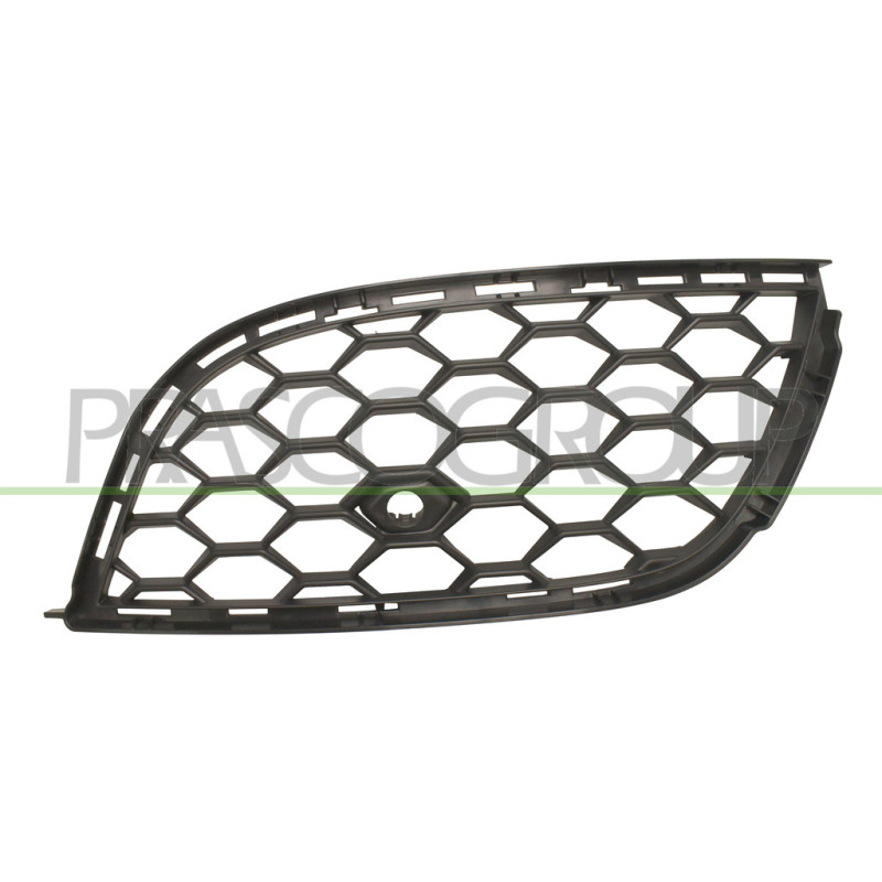 Grille de pare-chocs avant côté chauffeur