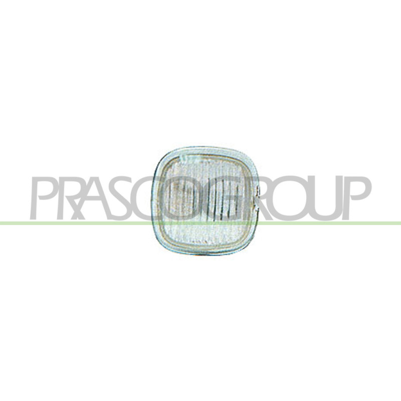 Feu d'aile avant valable côté chauffeur et côté passager