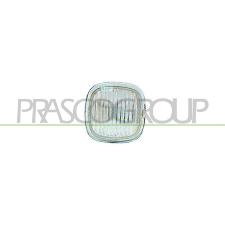 Feu d'aile avant valable côté chauffeur et côté passager