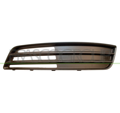 Grille de pare-chocs avant côté chauffeur