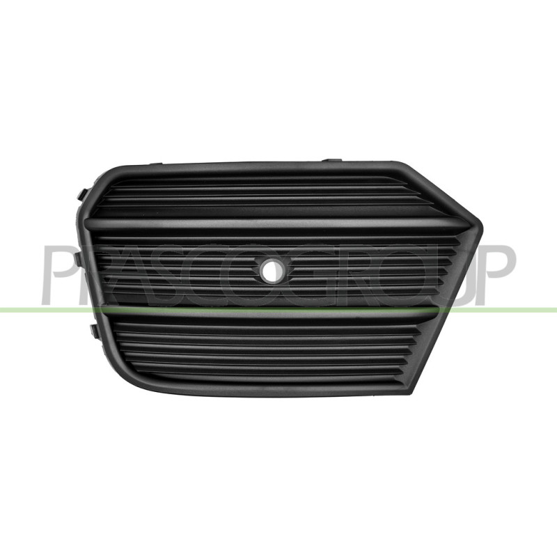 Grille de pare-chocs avant côté chauffeur