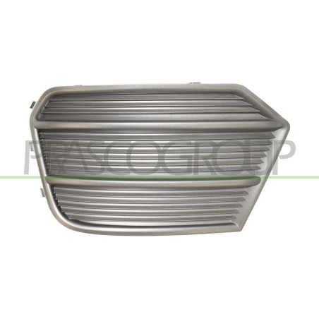 Grille de pare-chocs avant côté chauffeur