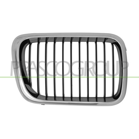 Grille de calandre côté passager