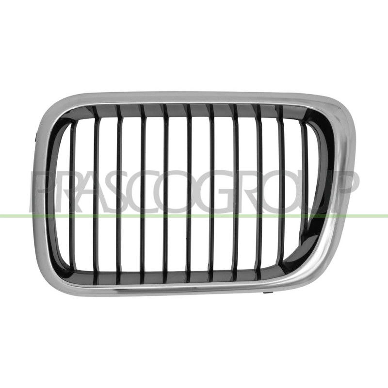 Grille de pare-chocs avant côté chauffeur