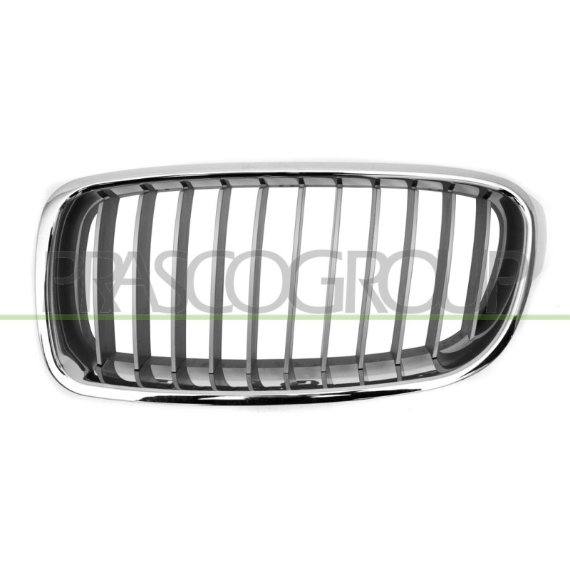 Grille de calandre argent avec moulure chrome côté chauffeur