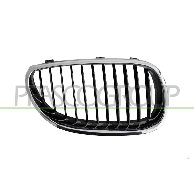 Grille de calandre côté passager