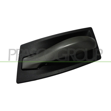 Poignée intérieure noir