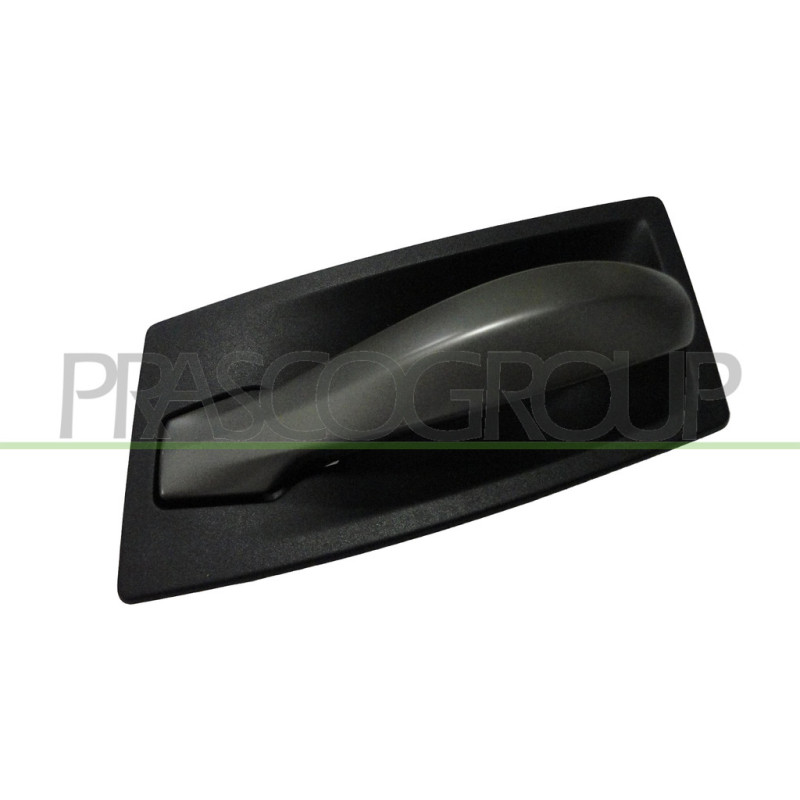 Poignée intérieure noir