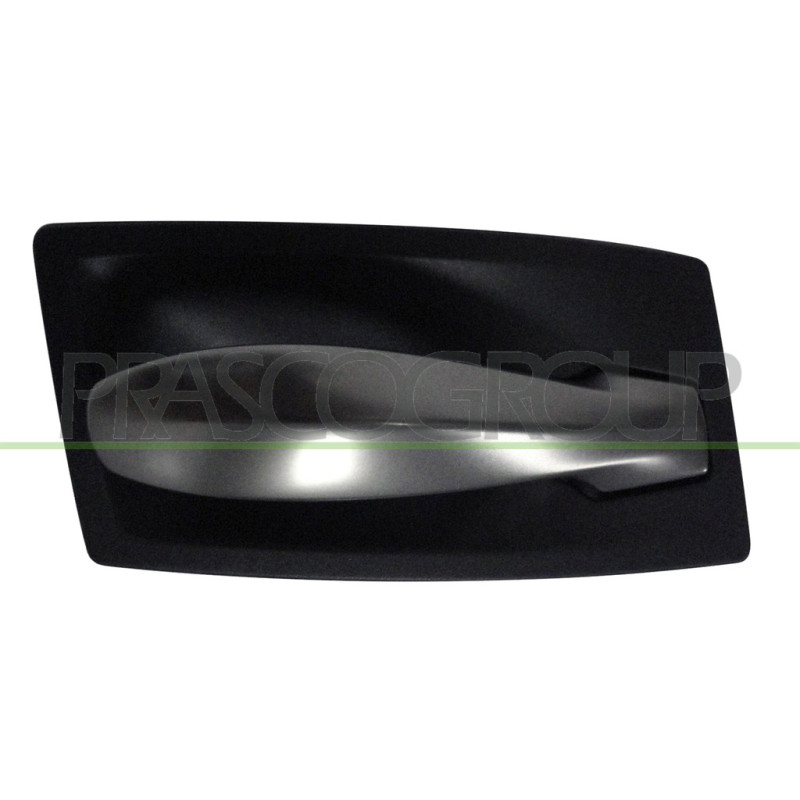 Poignée intérieure noir