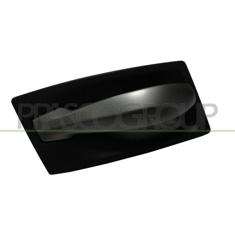 Poignée intérieure noir