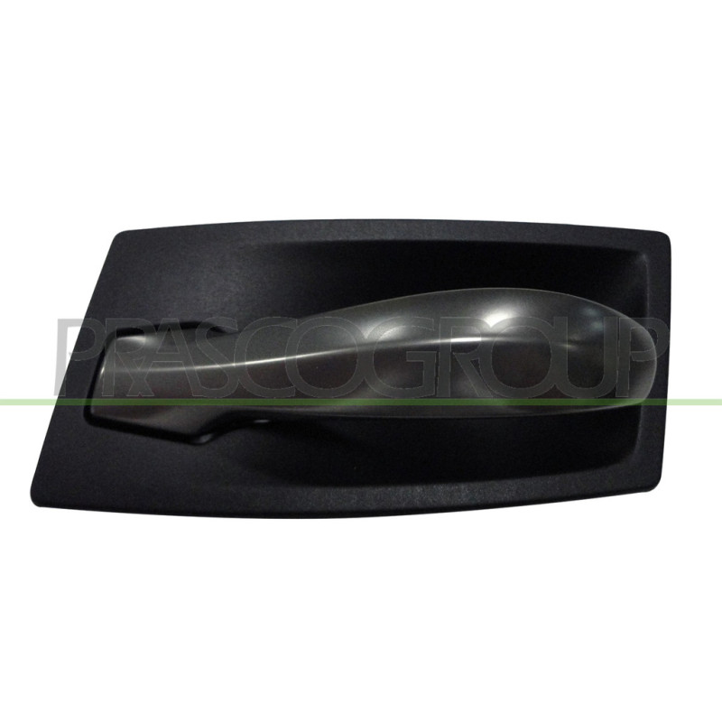 Poignée intérieure noir