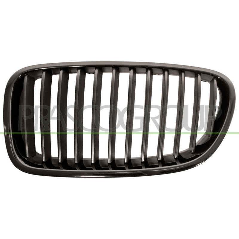 Grille de calandre noir côté chauffeur