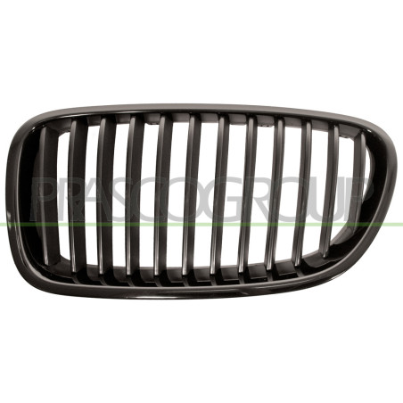 Grille de calandre noir côté chauffeur