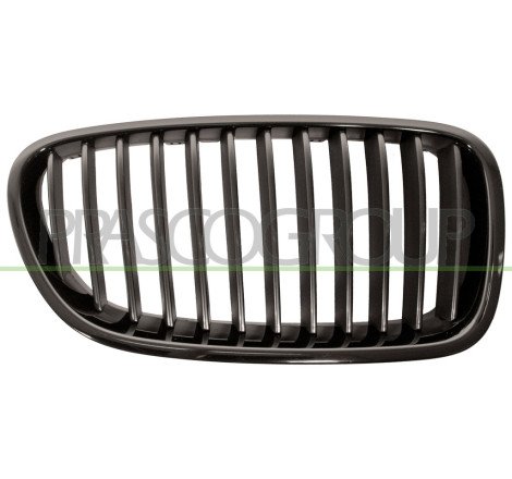 Grille de calandre noire côté passager