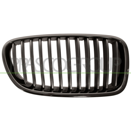 Grille de calandre noire côté passager