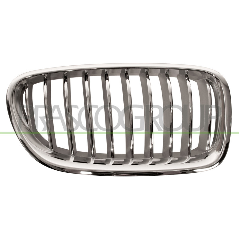 Grille de calandre chrome chrome titane côté passager