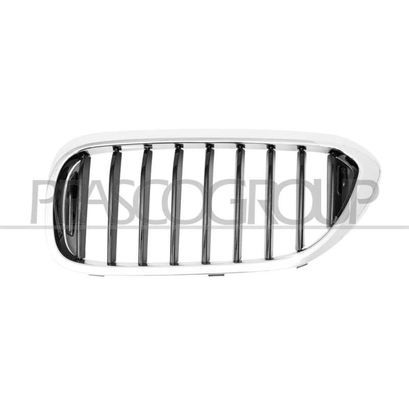 Grille de calandre chrome noir côté chauffeur