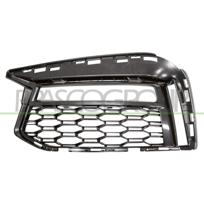 Grille de pare-chocs avant noir côté chauffeur