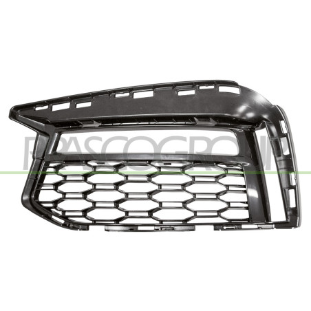 Grille de pare-chocs avant noir côté chauffeur