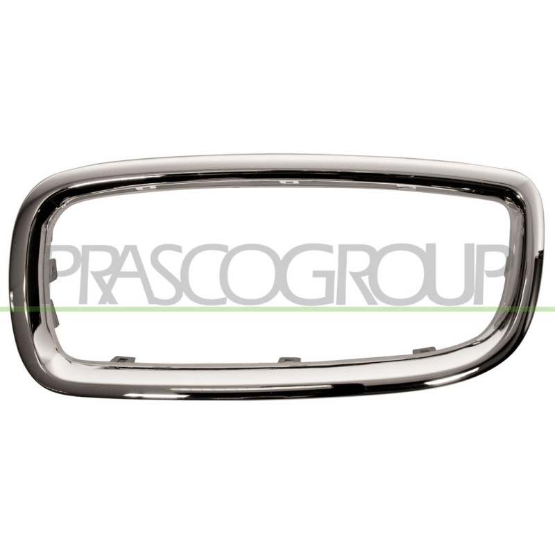 Cadre de grille de calandre côté chauffeur