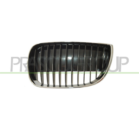 Grille de calandre côté passager