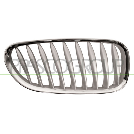 Grille de calandre grise côté passager