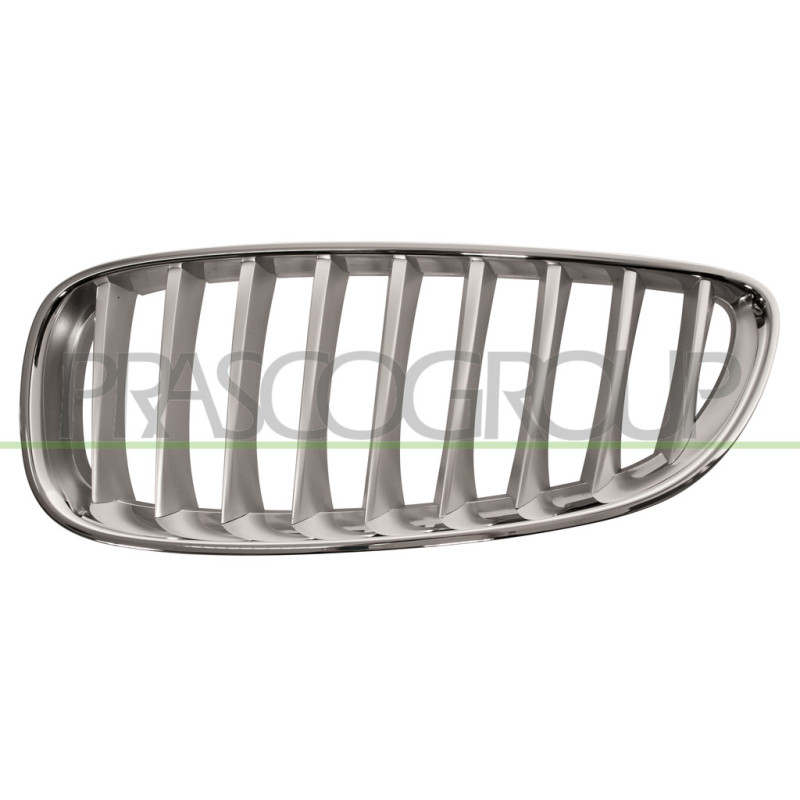 Grille de calandre titane mat côté chauffeur