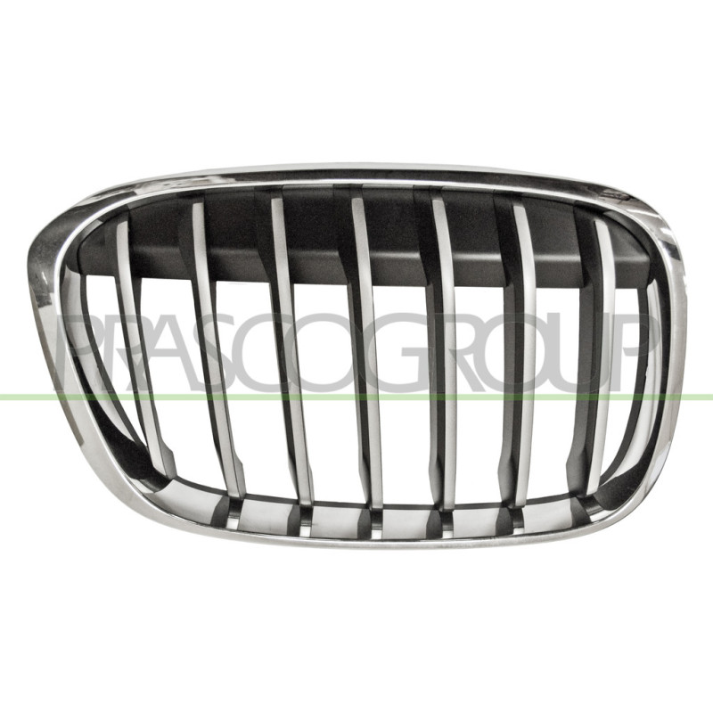 Grille de calandre chrome titane noir côté passager