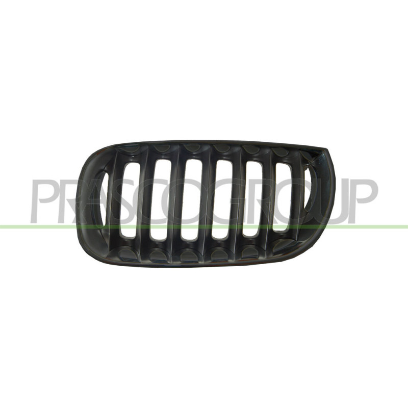 Grille de calandre noir côté chauffeur