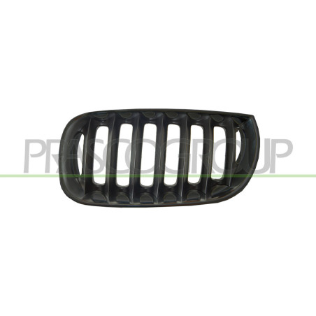 Grille de calandre noir côté chauffeur