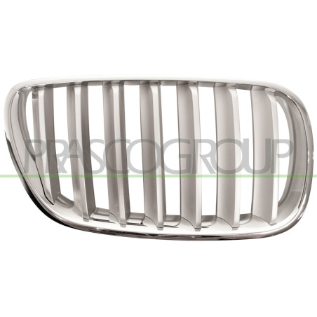 Grille de calandre chrome titanium côté passager