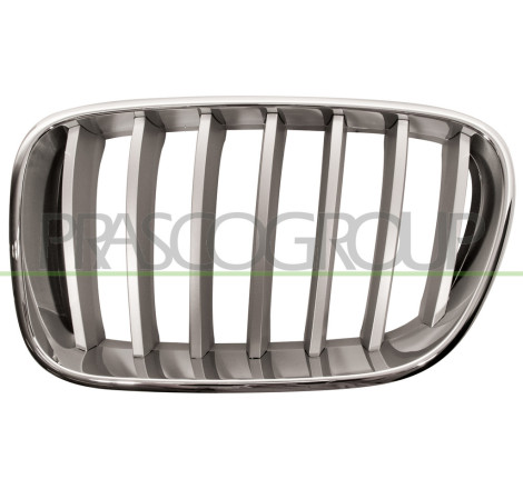 Grille de calandre chrome titane côté chauffeur