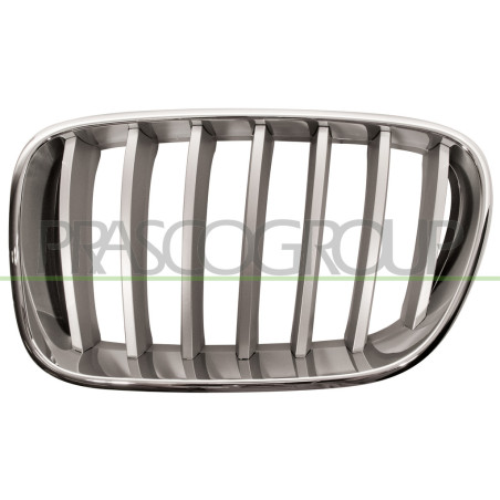 Grille de calandre chrome titane côté chauffeur