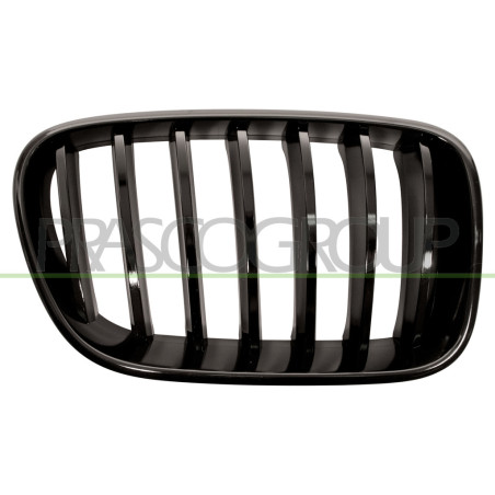 Grille de calandre noire brillant côté passager