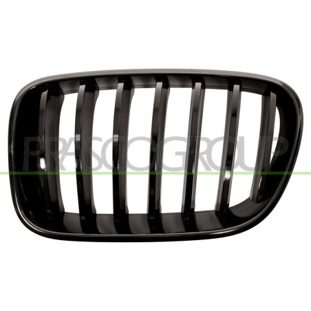 Grille de calandre noir brillant côté chauffeur