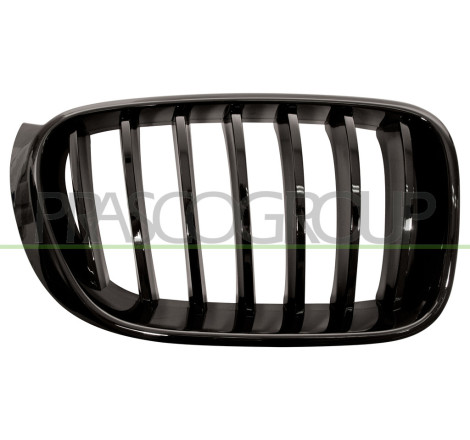 Grille de calandre noire brillant côté passager