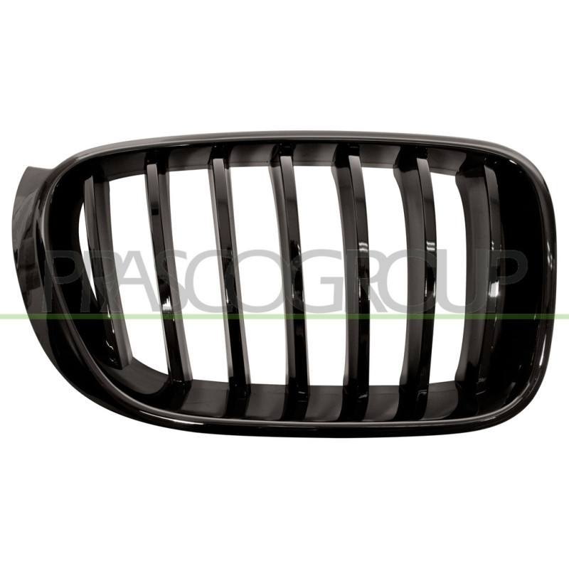 Grille de calandre noire brillant côté passager