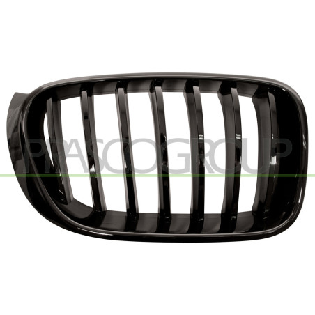 Grille de calandre noire brillant côté passager