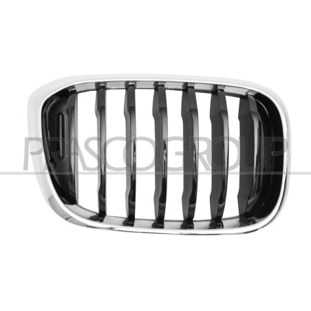 Grille de calandre noire avec cadre chrome côté passager