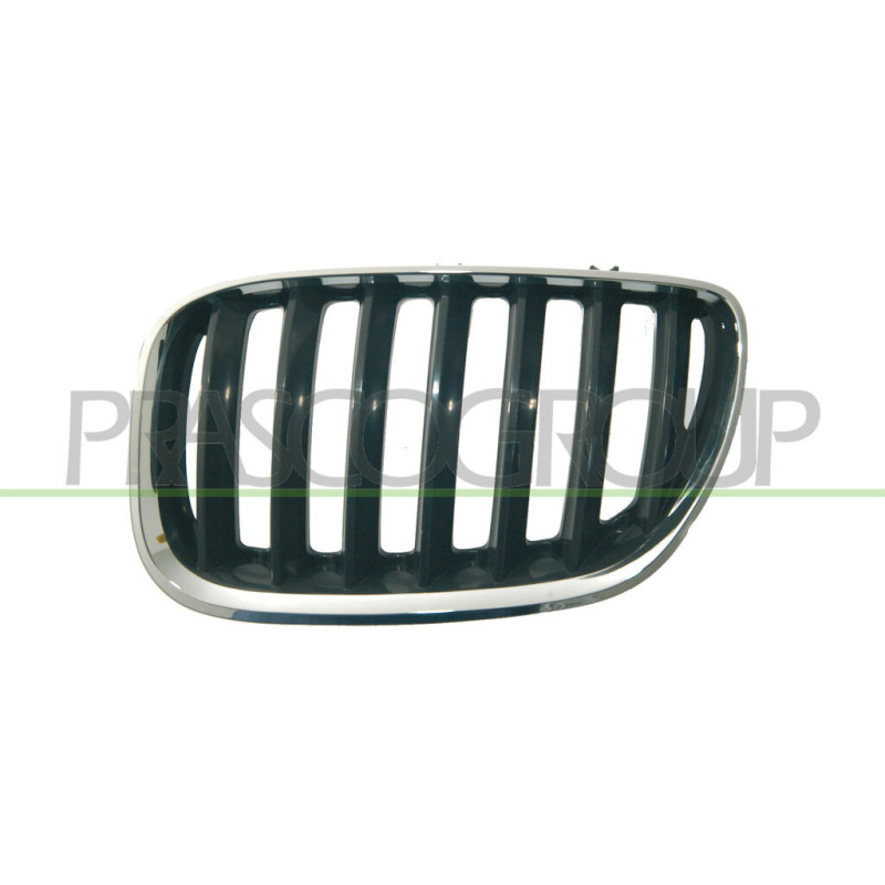 Grille de calandre chrome noir côté chauffeur